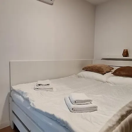 Gigi Linea 皮耶什佳尼